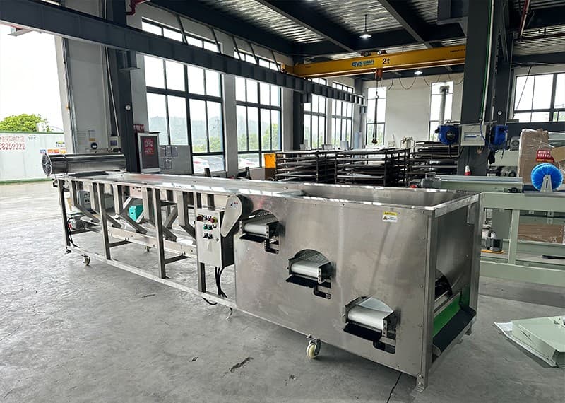 blueberry sorting grading machine.jpg